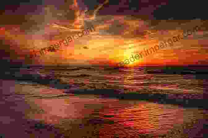 A Beach At Sunset. Reflections Of Venice: Art And Beauty In The Water (Photobooks By David C Phillips 1)