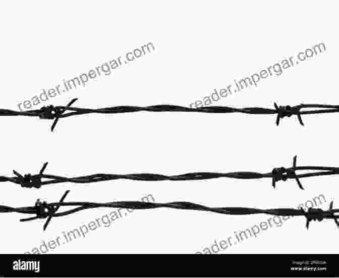 A Close Up Of A Strand Of Barbed Wire. Barbed Wire: An Ecology Of Modernity