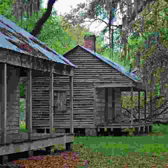 A Row Of Dilapidated Slave Cabins, Their Weathered Walls And Sagging Roofs A Testament To The Harsh Living Conditions Endured By Enslaved People Charting The Plantation Landscape From Natchez To New Orleans (Reading The American Landscape)