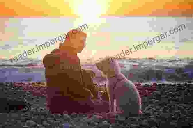 A Woman And Her Dog Sitting On A Bench, Looking Out At The Sunset On Dogs And Dying: Stories Of Hospice Hounds (New Directions In The Human Animal Bond)