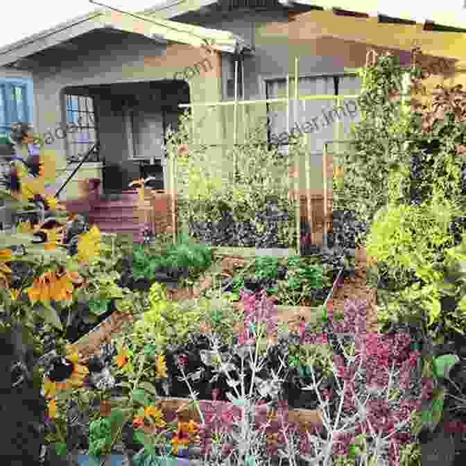 Before And After Image Of A Lawn Transformed Into An Edible Garden The California Lawn Diet: Why Should Cows Be The Only Happy Californians?