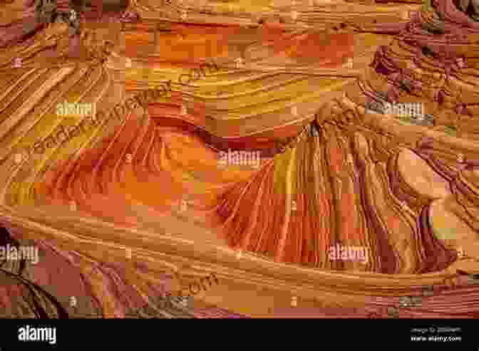 Close Up View Of Fire Wave, A Vibrant Red Sandstone Formation With Undulating Lines A Visitors Guide To Valley Of Fire State Park