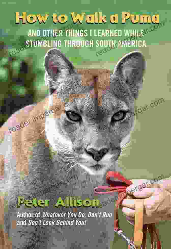 Cover Of 'And Other Things Learned While Stumbling Through South America' How To Walk A Puma: And Other Things I Learned While Stumbling Through South America