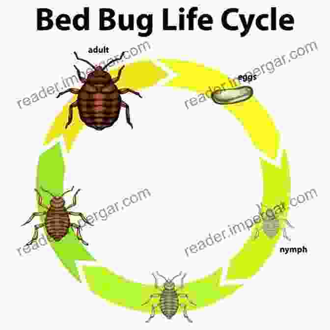 Diagram Of A Pest's Life Cycle Chemical Free Pest Control: Hundreds Of Practical And Inexpensive Ways To Control Pests Without Chemicals