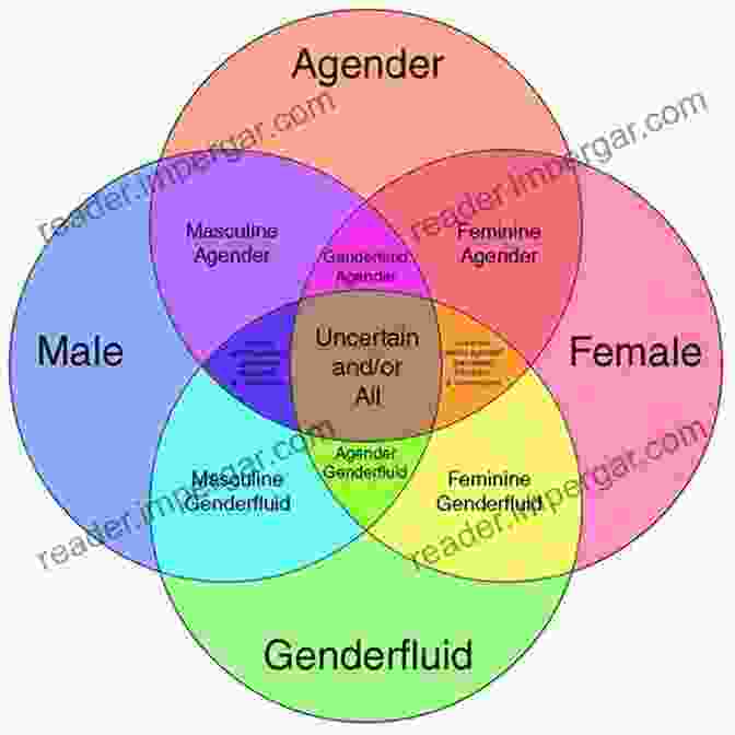 Diagram Of The Gender Spectrum, Showcasing The Diversity Of Gender Identities Beyond The Traditional Binary Creating Corporate Sustainability: Gender As An Agent For Change