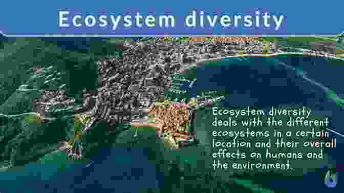 Diverse Ecosystem Of Stone Mountain Atlanta S Stone Mountain: A Multicultural History (Brief History)