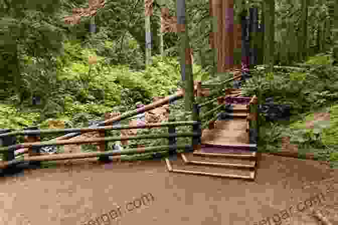 Hikers Traversing A Well Maintained Trail Amidst A Lush Forest On The Blue Ridge Parkway. Hiking And Traveling The Blue Ridge Parkway Revised And Expanded Edition: The Only Guide You Will Ever Need Including GPS Detailed Maps And More (Southern Gateways Guides)