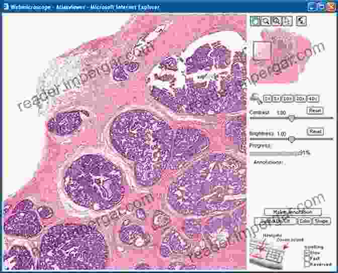 Histological Atlas HISTOLOGY (DIGITAL MICROSCOPY VIDEO): Volume 7