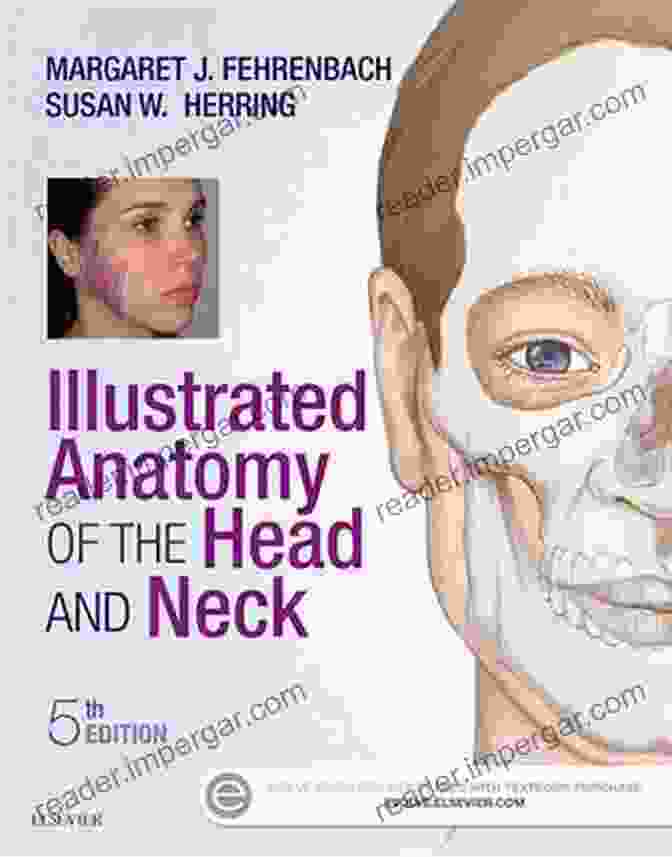 Illustrated Anatomy Of The Head And Neck Book Cover Illustrated Anatomy Of The Head And Neck E