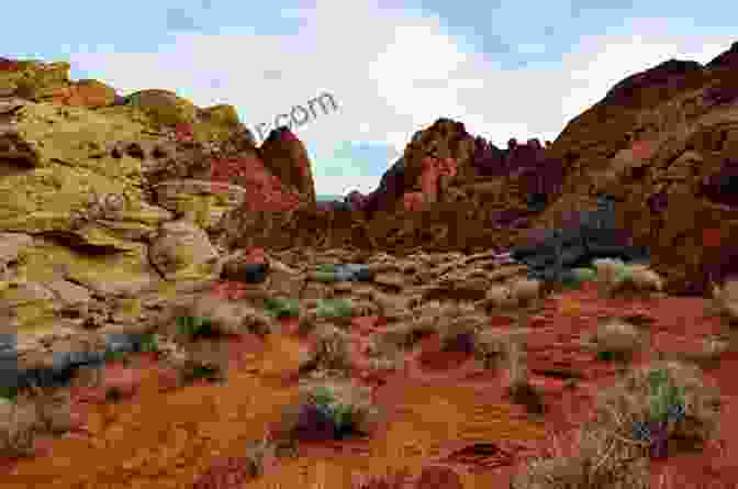 Panoramic View Of Valley Of Fire State Park, Featuring Vibrant Red Rock Formations And Distant Mountains A Visitors Guide To Valley Of Fire State Park