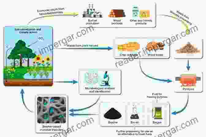 Phytoremediation: The Use Of Plants To Remove Environmental Pollutants Phytoremediation Of Environmental Pollutants Vineet Kumar