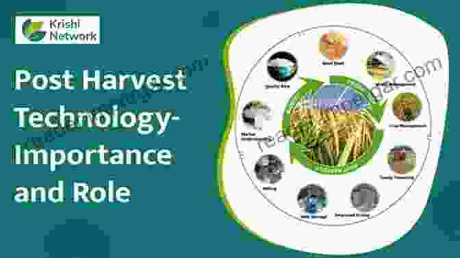 Post Harvest Management Techniques Post Harvest Pathology (Plant Pathology In The 21st Century 2)