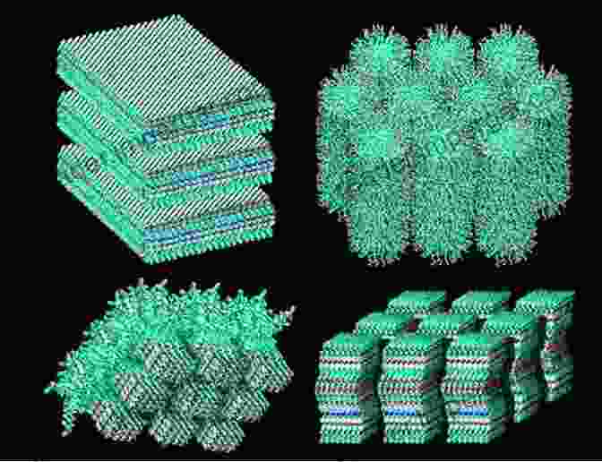 Self Organized Nanostructures Nanoscience With Liquid Crystals: From Self Organized Nanostructures To Applications (NanoScience And Technology)