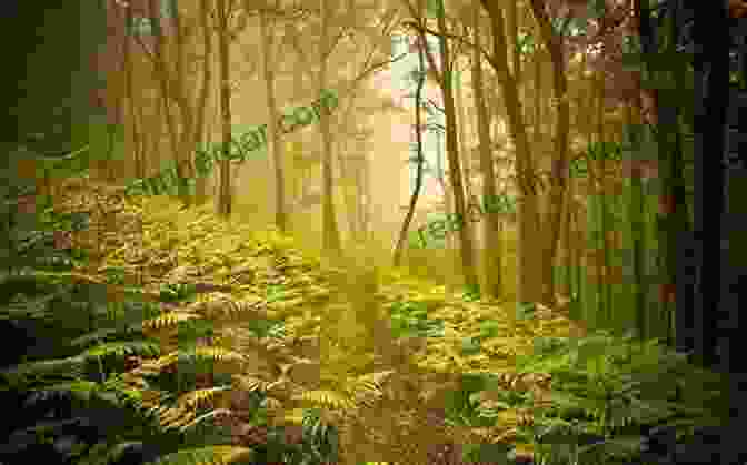 Serene Forest Scene The Southern Forest: A Chronicle