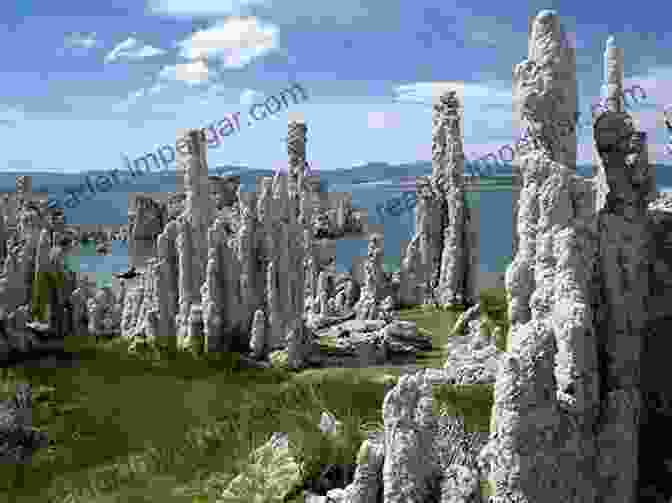 Tufa Formations Rising From The Shores Of Mono Lake In Inyo County CAL FIRE: San Bernardino Inyo And Mono Counties (Images Of America)