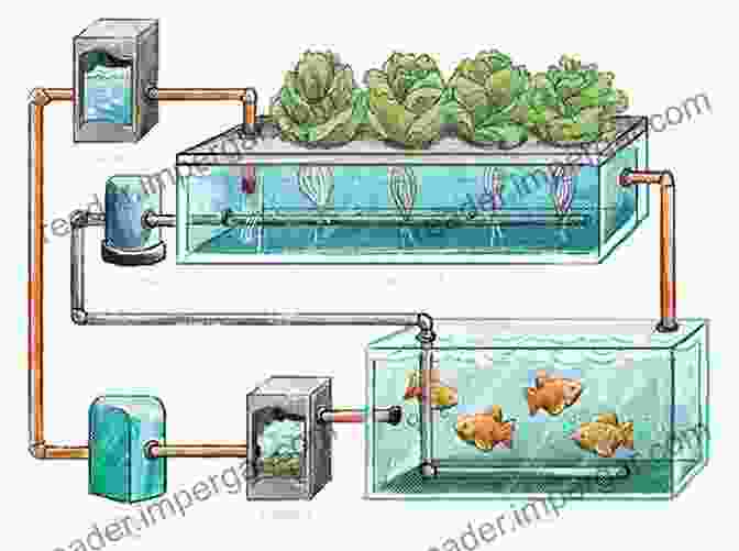 Types Of Aquaculture Systems Diagram The Hop Grower S Handbook: The Essential Guide For Sustainable Small Scale Production For Home And Market