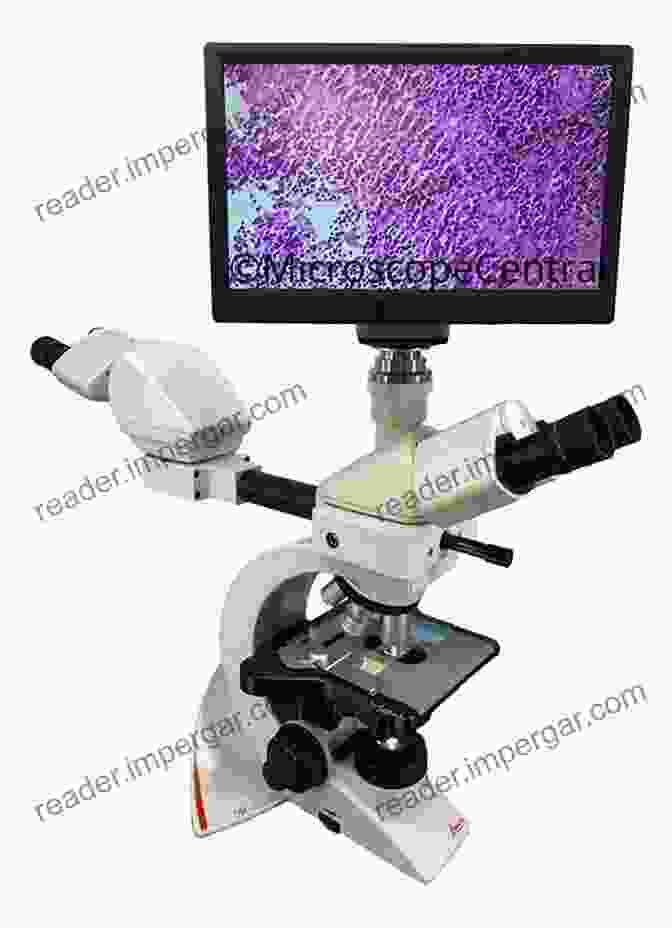 Video Microscopy HISTOLOGY (DIGITAL MICROSCOPY VIDEO): Volume 7