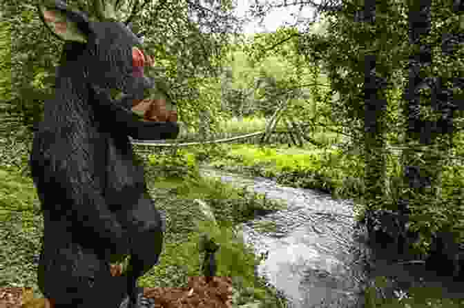 Visitors Exploring An Industrial Heritage Trail In The Forest Of Dean Forest Of Dean Industrial History Book: On Industrial History: Revolution Of Change In The Forest Of Dean