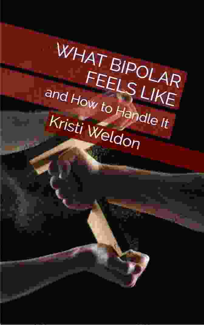 What Bipolar Feels Like Book Cover What Bipolar Feels Like: That One Time I Went Crazy