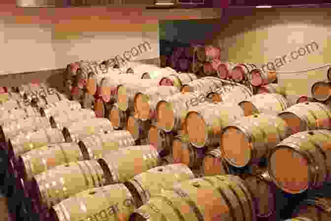 Wine Barrels Aging In A Winery Cellar Georgia Vineyards And Wineries: A Historical Guide To Modern Georgia Wines 2024