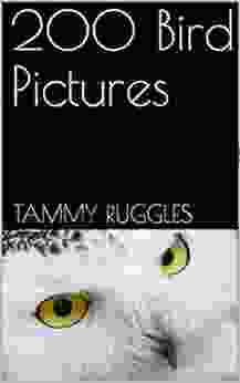 200 Bird Pictures Tammy Ruggles