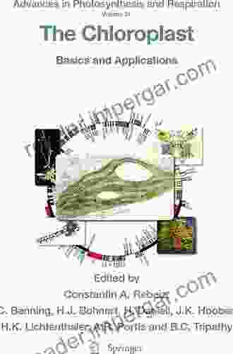 The Chloroplast: Basics And Applications (Advances In Photosynthesis And Respiration 31)