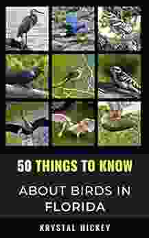 50 Things to Know About Birds in Florida : Birding in the Sunshine State (50 Things to Know About Birds United States)