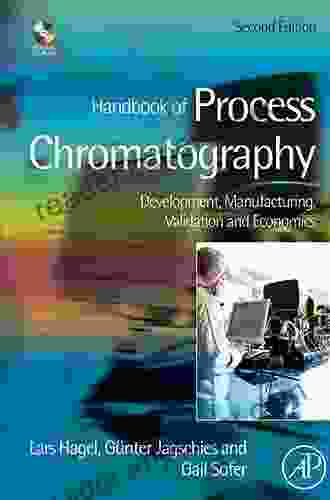 Handbook Of Process Chromatography: Development Manufacturing Validation And Economics