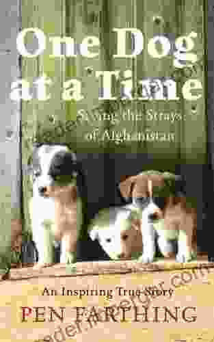 One Dog At A Time: Saving The Strays Of Afghanistan