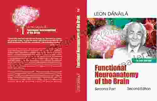 Functional Neuroanatomy of the Brain: Second Part: Second EDITION