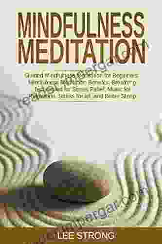 Mindfulness Meditation: Guided Mindfulness Meditation For Beginners (Personal Growth 3)