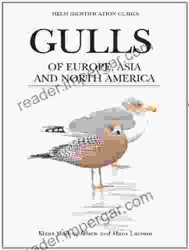 Gulls Of Europe Asia And North America (Helm Identification Guides)