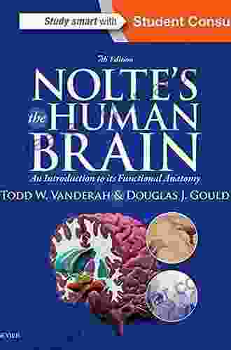 Nolte S The Human Brain E Book: An Introduction To Its Functional Anatomy