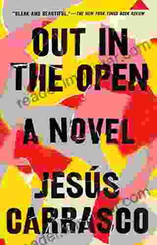 Out in the Open: A Novel