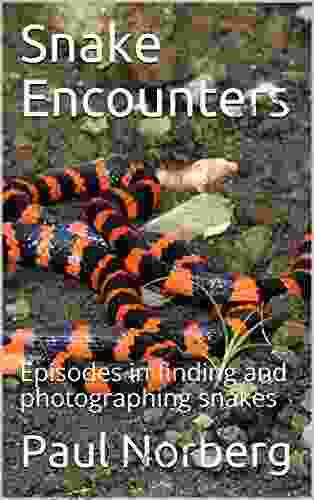 Snake Encounters: Episodes In Finding And Photographing Snakes