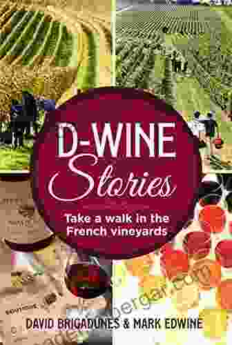 D Wine Stories: Take a walk in the French vineyards