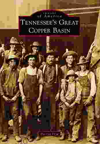 Tennessee S Great Copper Basin (Images Of America)