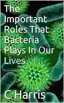 The Important Roles That Bacteria Plays In Our Lives