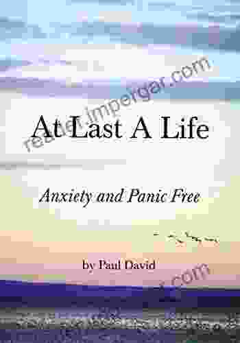 At Last A Life Paul David