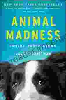 Animal Madness: How Anxious Dogs Compulsive Parrots And Elephants In Recovery Help Us Understand Ourselves