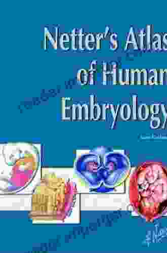 Netter S Atlas Of Human Embryology: Updated Edition (Netter Basic Science)