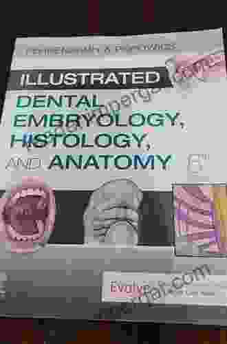 Student Workbook For Illustrated Dental Embryology Histology And Anatomy E