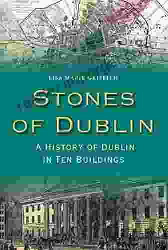 Stones Of Dublin Lisa Marie Griffith