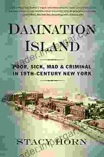 Damnation Island: Poor Sick Mad And Criminal In 19th Century New York