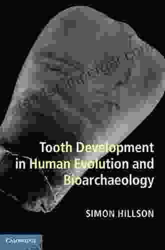 Tooth Development In Human Evolution And Bioarchaeology