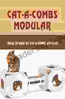 Cat A Combs Modular: Ideas To Make My Cat A Combs Modular