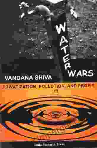 Water Wars: Privatization Pollution And Profit